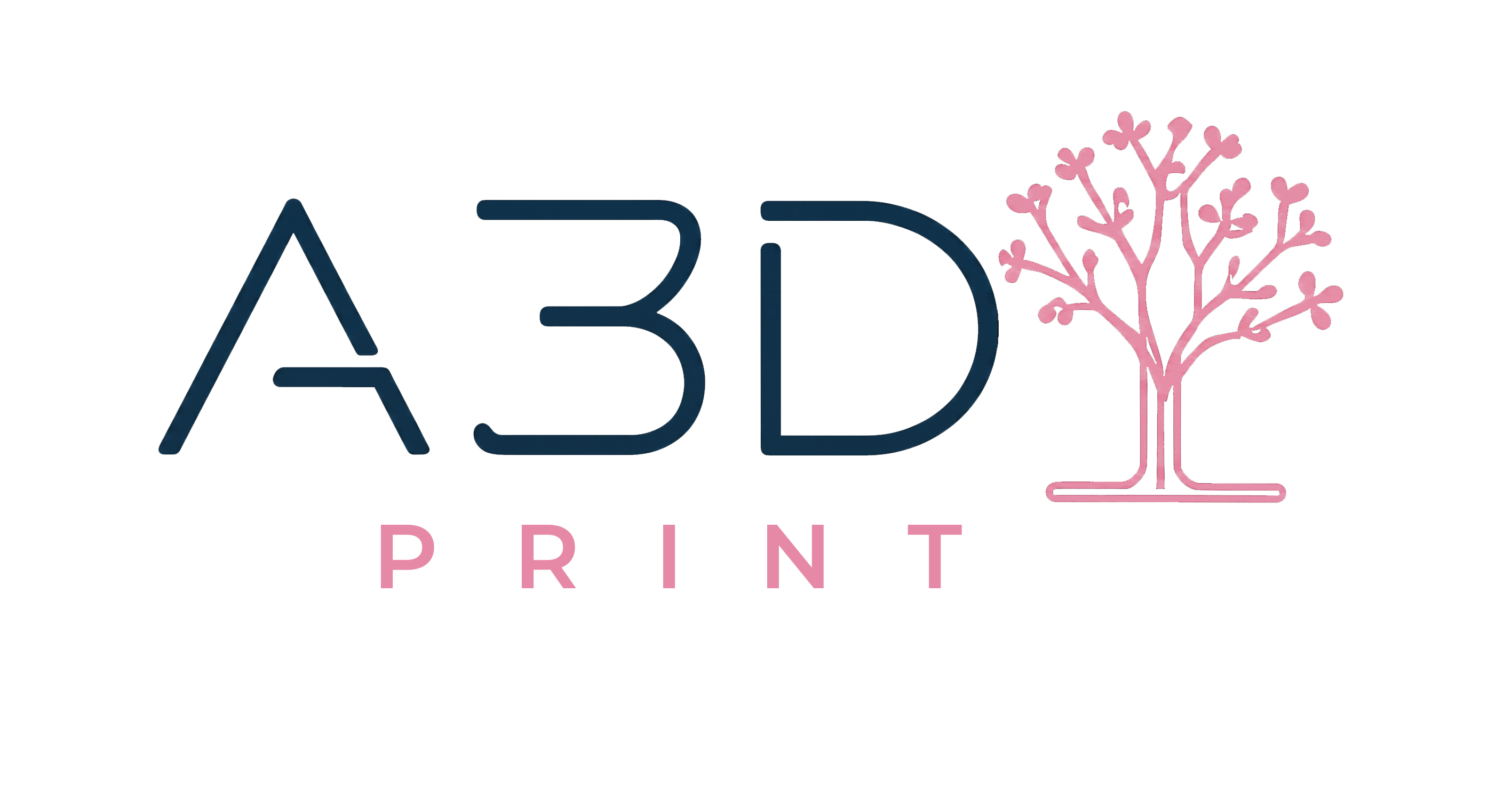 A3D Print